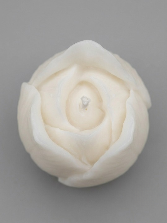 Bocciolo Di Rosa