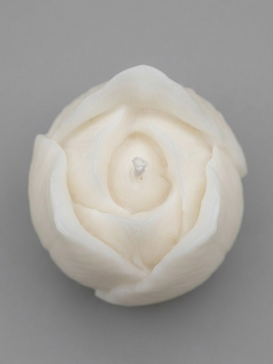 Bocciolo Di Rosa