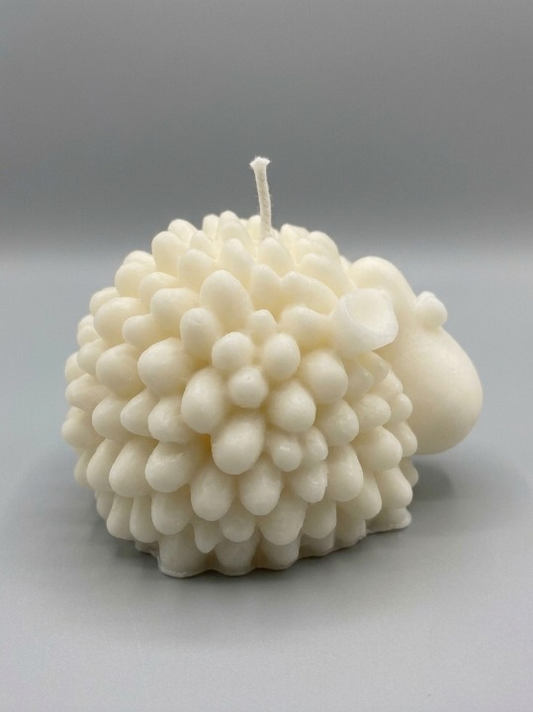 Morbida Pecorella